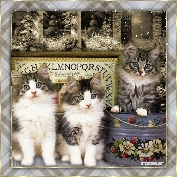 Картинки с котятами - Страница 2 601346050
