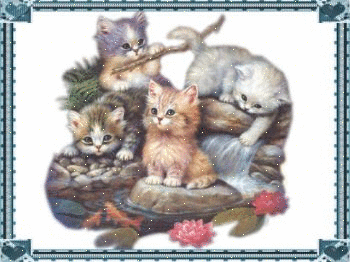 Картинки с котятами - Страница 2 755382000