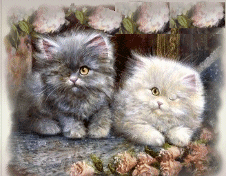 Картинки с котятами - Страница 2 792402067