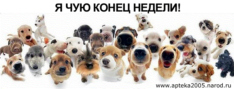 http://best-image.ucoz.ru/_ph/37/611639726.gif